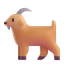 Mùi